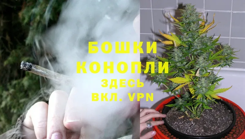 блэк спрут tor  как найти закладки  Новокубанск  Бошки Шишки White Widow 